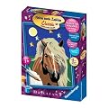 Ravensburger 27896 - Haflinger im Mondschein - Malen nach Zahlen Brilliant, 13x18 cm