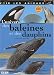 L'univers des baleines et des dauphins (1DVD)