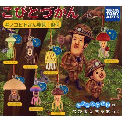 �J�v�Z��&nbsp;���тƂÂ���&nbsp;�L�m�R�r�g���񔭌�!&nbsp;���t&nbsp;�S7��Z�b�g