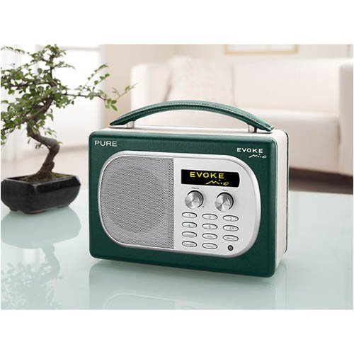 Childrens Toyshop  Electronics : PURE EVOKE MIO MOSS 50'S STYLE DAB RADIO WITH BUILT-IN CHARGEPAK
