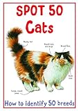 Spot 50 cats