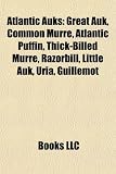 Produkt-Bild: Atlantic Auks: Great Auk, Common Murre, Atlantic Puffin, Thick-Billed Murre, Razorbill, Little Auk, Uria, Guillemot