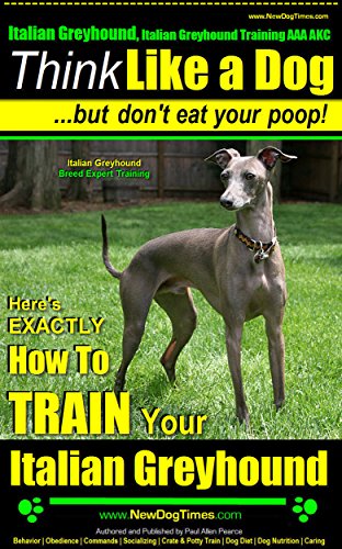 Italian Greyhound, Italian Greyhound Training AAA AKC: | Think Like Me ~ But Don't Eat Your Poop! | Italian Greyhound Breed Expert Training |: Here's EXACTLY How To Train Your Italian Greyhound