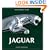 Jaguar: The Complete Story