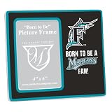 Florida Marlins Youth Frame