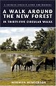 A Walk Around the New Forest: In Thirty-five Circular Walks