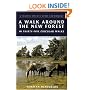 A Walk Around the New Forest: In Thirty-five Circular Walks