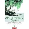 Wie flie�endes Wasser: 33 Zen-Geschichten aus Korea  - erz�hlt von Zen-Meisterin Daehaeng
