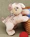 51Ai71eS5uL._SL75_ The Puppy in Chief - a Portuguese Water Dog?