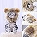 Namsan Lion Mane for Cats - Pet Dog Cat Halloween Costumes for Cats or Small Dogs