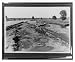 Historic Print (L): [Floodwaters receding leaving misshapen landform] / Ewing, Inc.