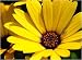 Search : Anxiety and Depression 101 Ebook Everything You Need To Know About Anxiety & Depression