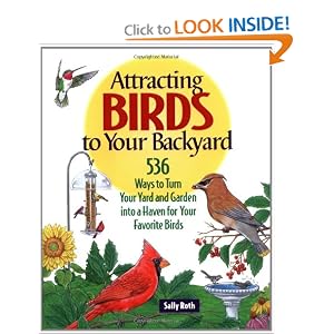 Attracting Birds Your Backyard Sally