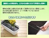 �y��ԗv�炸�@�G���悯�V�[�g�z