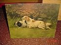 16" X 20" Litho Print G. Muss Arnolt Pair Bird Dogs