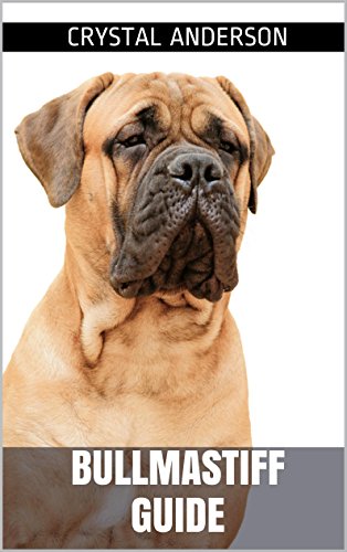Bullmastiff Guide