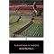 Stunning Short Story Collections