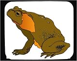 Decorated Mouse Pad with frog, green, sitting, orange, amphibian