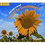How Does it Grow? From Seed to Sunflower (Start Writing)