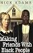 Making Friends With Black People