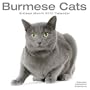 CATS - BURMESE 2010 Wall Calendar #30413-10