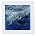 3dRose qs_10587_1 Great White Shark-Quilt Square, 10 by 10-Inch