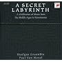 A Secret Labyrinth
