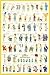 Simpsons - Phrases - Comic Film Movie Kino Poster Bild