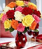 Two Dozen Rainbow Roses