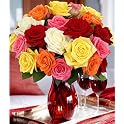 Rainbow Roses