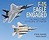 F-15 Eagle Engaged: The world's most successful jet fighter (General Aviation)