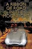 A Ribbon Of Road In The Moonlight
