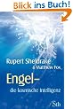 Engel - Die kosmische Intelligenz