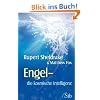 Engel - Die kosmische Intelligenz