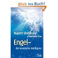 Engel - Die kosmische Intelligenz