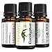 15ml Eucalyptus Essential Oil - Best Quality, 100% Pure, Undiluted, Therapeutic grade, Organic - by HopeWind Health