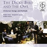 Dicky Bird & the Owl