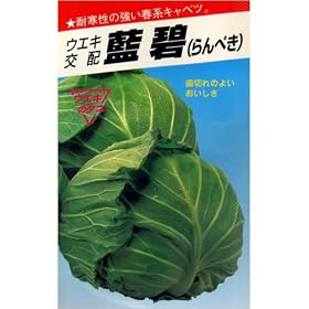 ���؂�̗ǂ�!�@����(�E�G�L��z) ����:1.5ml