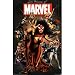 (24x36) Marvel Heroes (Women of Marvel) Art Poster Print