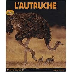 L'autruche