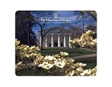 NCAA Georgia Bulldogs White Building On Campus Full Color Print Deskpad