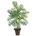 Areca Palm Silk Plant