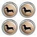 Dachshund Wiener Dog Metal Craft Sewing Novelty Buttons - Set of 4