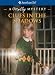 Clues in the Shadows: A Molly Mystery (American Girl Mysteries)
