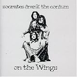 On the Wings