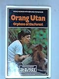Orang utan : orphans of the forest