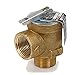 Hayward CHXRLV1930 Relief Valve Replacement for Select Hayward H-Series Pool Heater