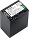 Kastar NP-FV100 Battery 1-Pack For Sony NP-FH100 NP-FV100 NP-FH90 FH70 FH60 TRV and Sony DCR-DVD405 407E 408 410E 450 602E 610 650E DCR-HC96 DCR-SR85 HDR-HC9 HDR-UX20 HDR-SR12 DCR-SR65E XR500E Camera