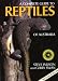 Complete Guide to Reptiles of Australia: Second Edition