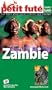 Zambie 2007/2008 Petit Fute
